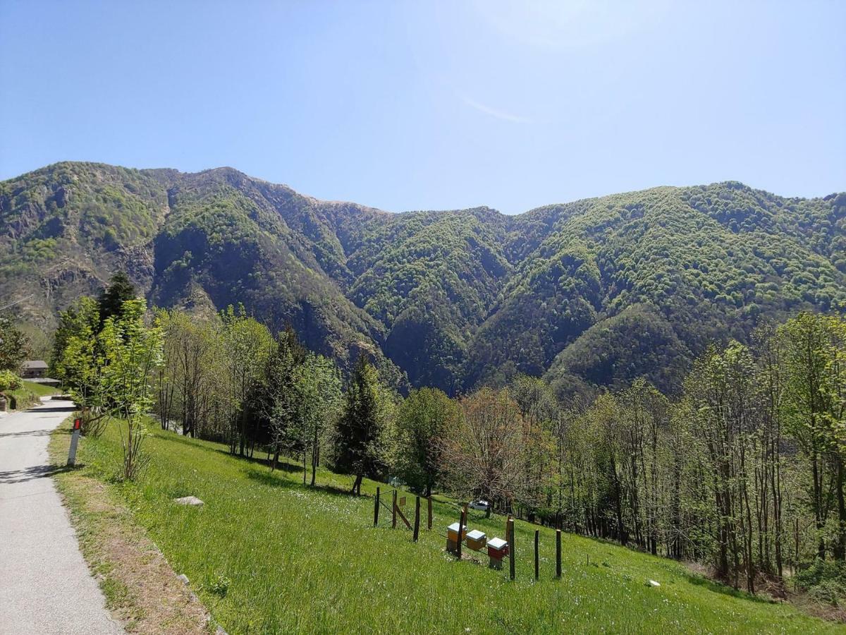 Ostello Del Parco Di Cicogna エクステリア 写真